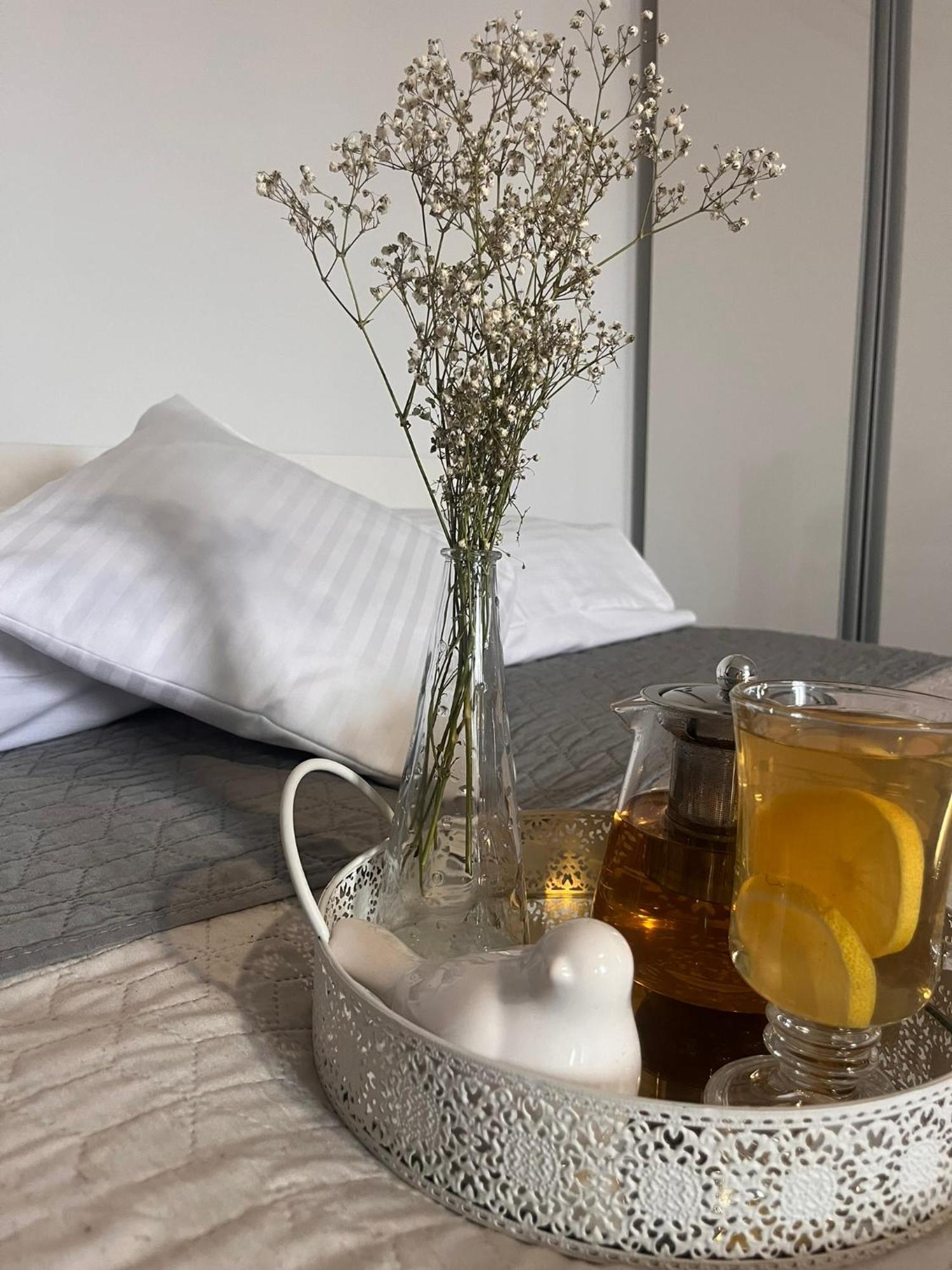 Apartament Na Starowce VII 普什奇纳 外观 照片